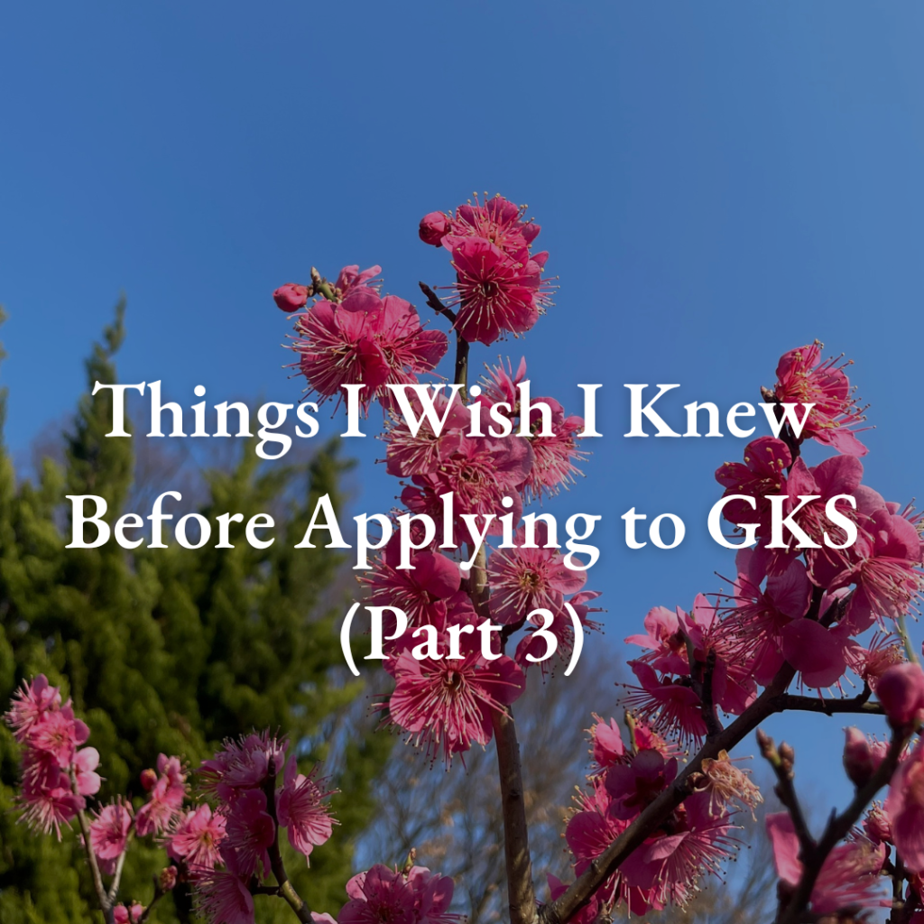 Things I Wish I Knew Before Applying to GKS – Part 3